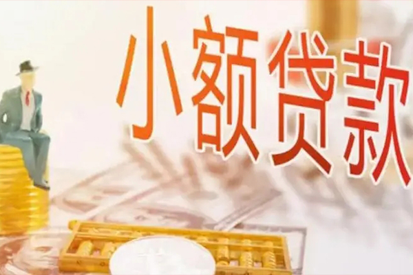 成都小额民间借贷无视黑白-成都小额哪里可以小额贷款-成都小额信用贷款网